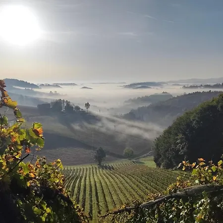 Weingut Fellner Panzió