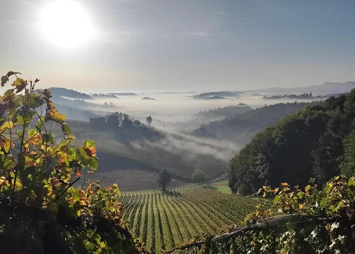 Weingut Fellner فندق مبيت وإفطار