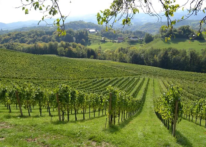 Weingut Fellner فندق مبيت وإفطار